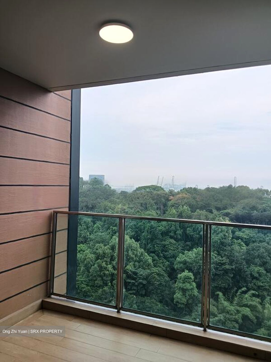 Normanton Park (D5), Apartment #455080221